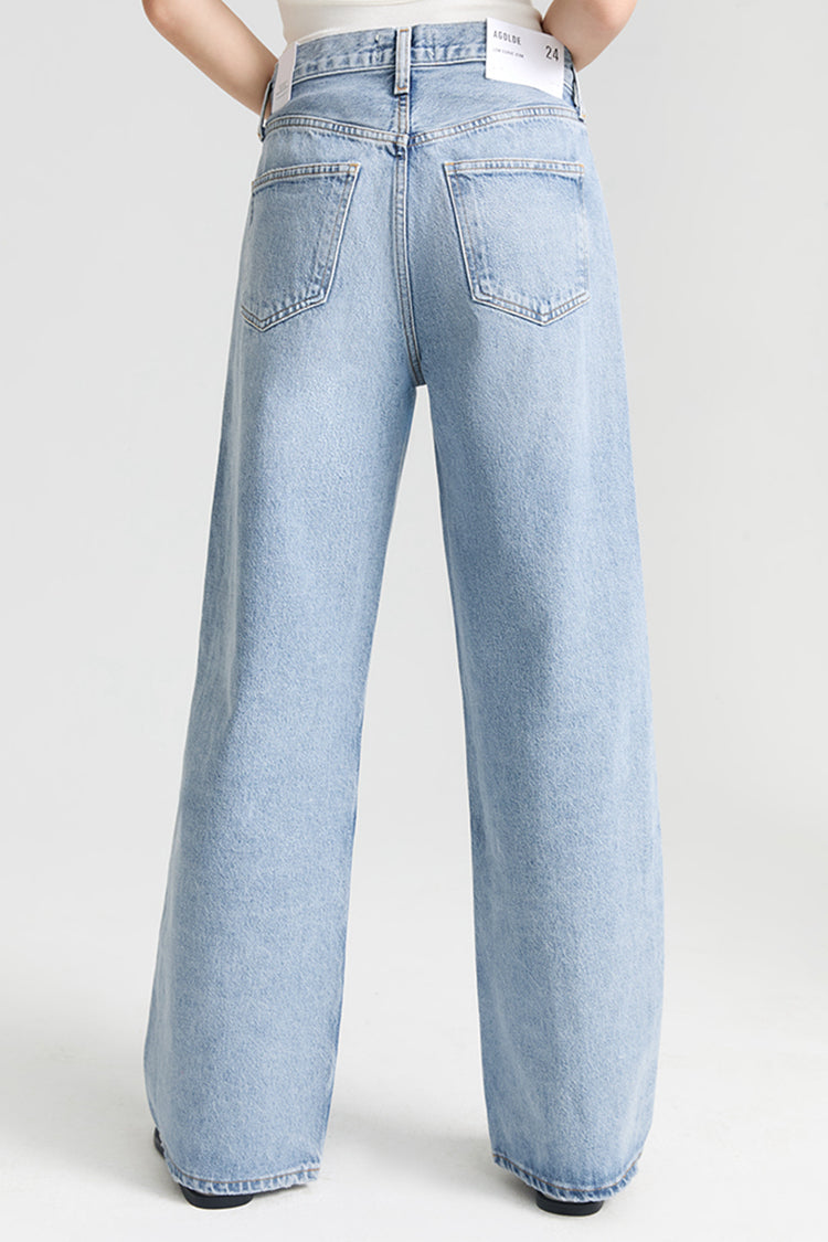 AGOLDE LOW CURVE JEAN