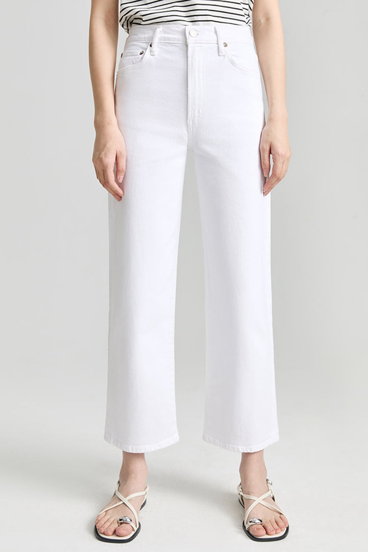 AGOLDE HARPER CROP JEAN