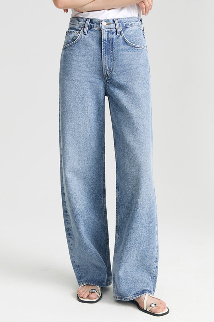AGOLDE LOW CURVE JEAN PETITE