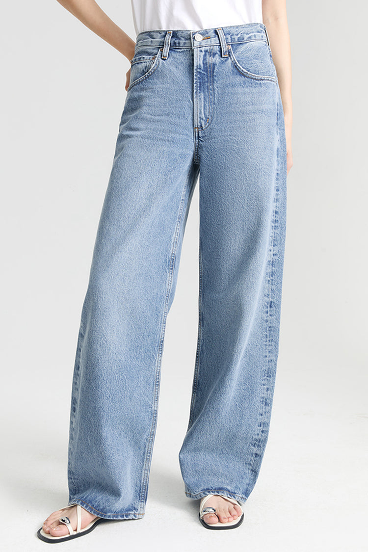 AGOLDE LOW CURVE JEAN PETITE